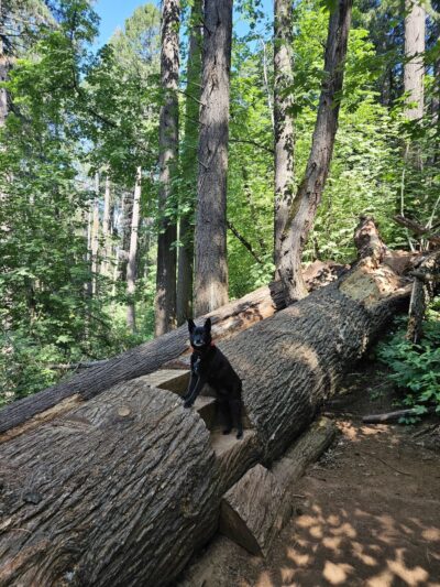 Cascade Canal Trailhead - Bear Yuba Land Trust - Nevada City, CA