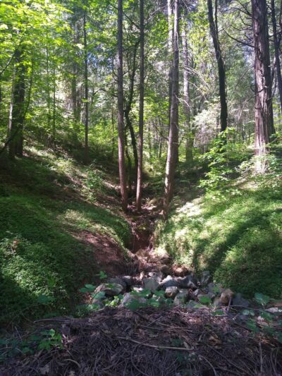 Deer Creek Environs Trail Head - Nevada City, CA