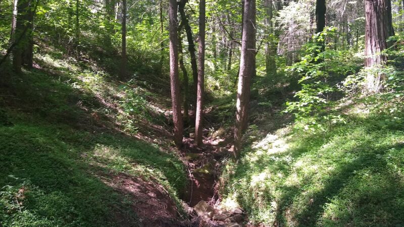 Deer Creek Environs Trail Head - Nevada City, CA
