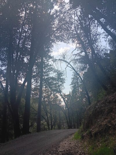Deer Creek Environs Trail Head - Nevada City, CA