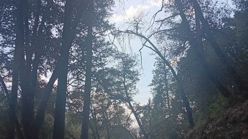 Deer Creek Environs Trail Head - Nevada City, CA