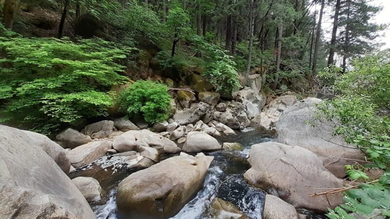 Deer creek tribute trailhead - Nevada City, CA