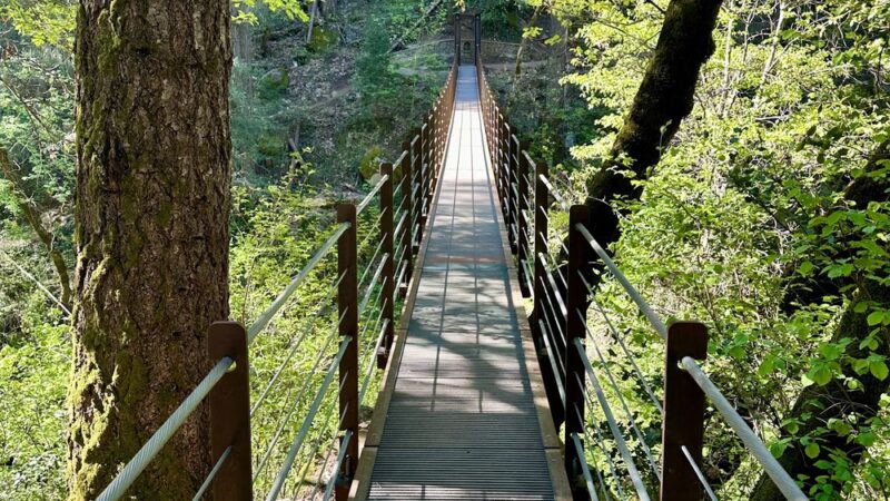Deer creek tribute trailhead - Nevada City, CA