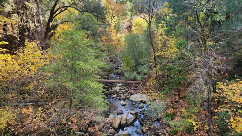 Deer creek tribute trailhead - Nevada City, CA