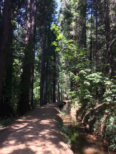 Hiking Trails - Nevada City, CA