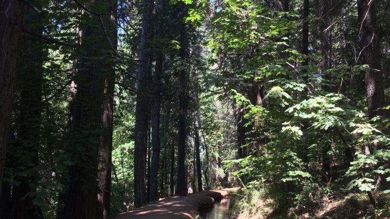 Hiking Trails - Nevada City, CA