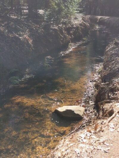 Hiking Trails - Nevada City, CA