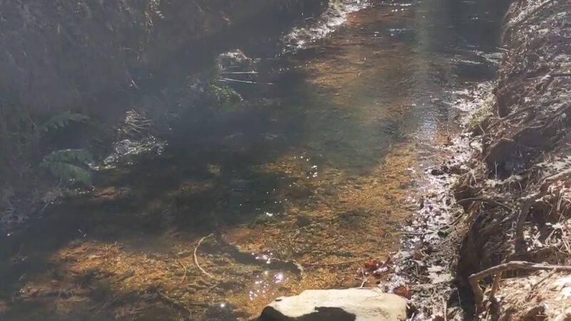 Hiking Trails - Nevada City, CA