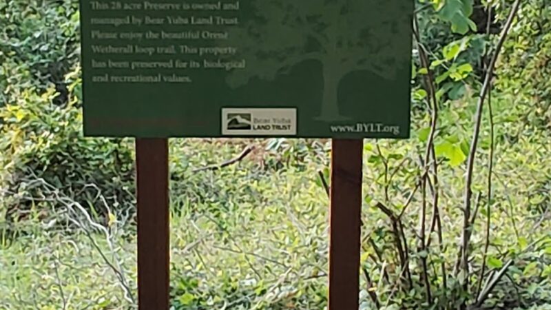 Hiking Trails - Nevada City, CA