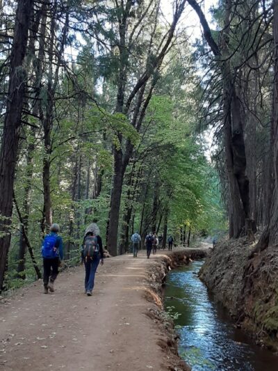 Hiking Trails - Nevada City, CA
