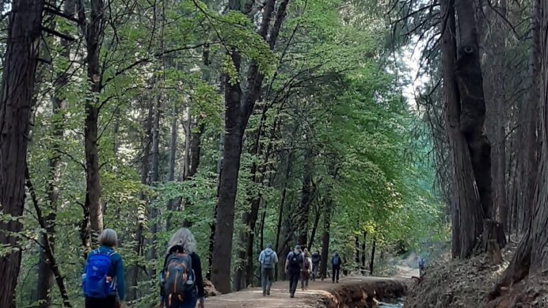 Hiking Trails - Nevada City, CA