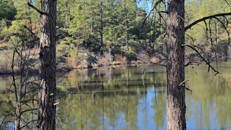 Hirschman's Pond trailhead - Nevada City, CA