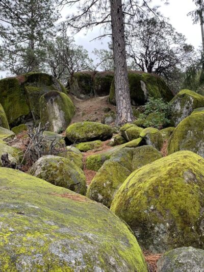 Hirschman's Pond trailhead - Nevada City, CA
