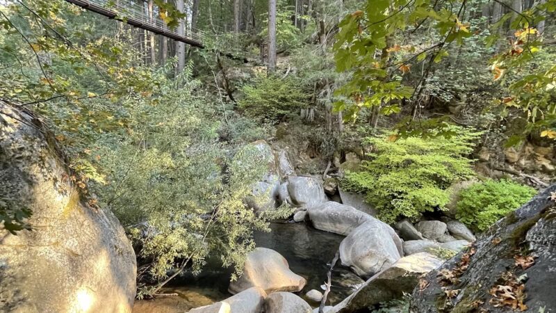 Nisenan Tribute Site Trail Head - Nevada City, CA