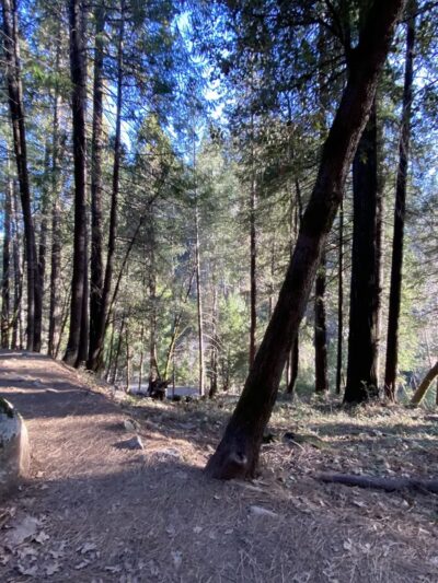 Nisenan Tribute Site Trail Head - Nevada City, CA