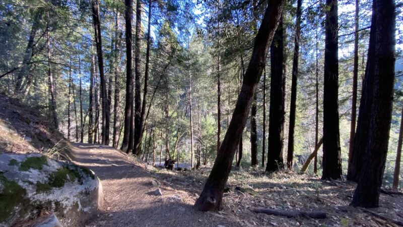 Nisenan Tribute Site Trail Head - Nevada City, CA