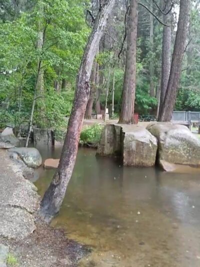 Pioneer Park - Nevada City, CA