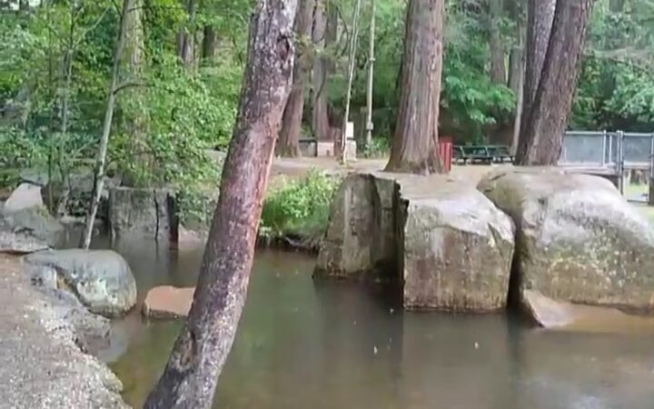 Pioneer Park - Nevada City, CA