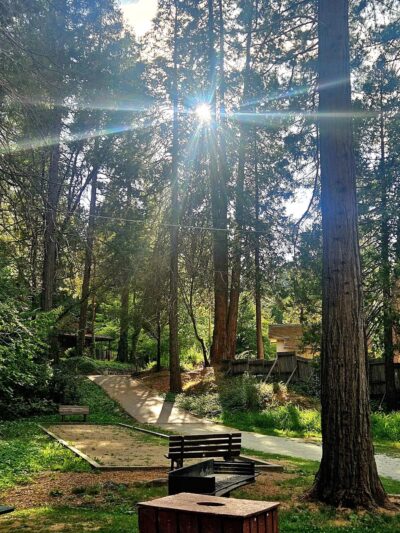 Pioneer Park - Nevada City, CA