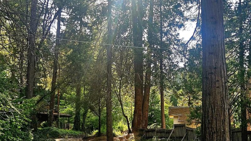 Pioneer Park - Nevada City, CA