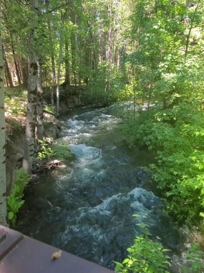 Sierra Discovery Trail - Nevada City, CA