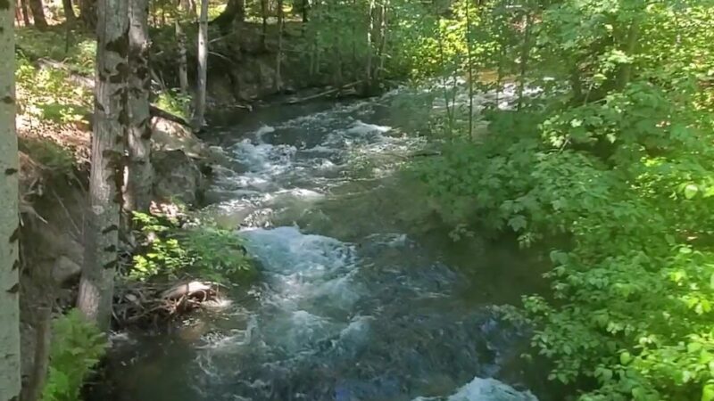 Sierra Discovery Trail - Nevada City, CA