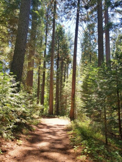 Sierra Discovery Trail - Nevada City, CA