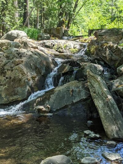 Sierra Discovery Trail - Nevada City, CA