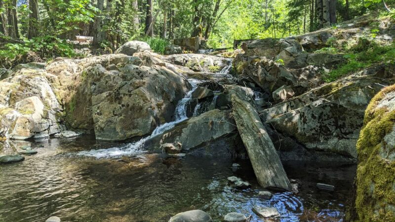 Sierra Discovery Trail - Nevada City, CA