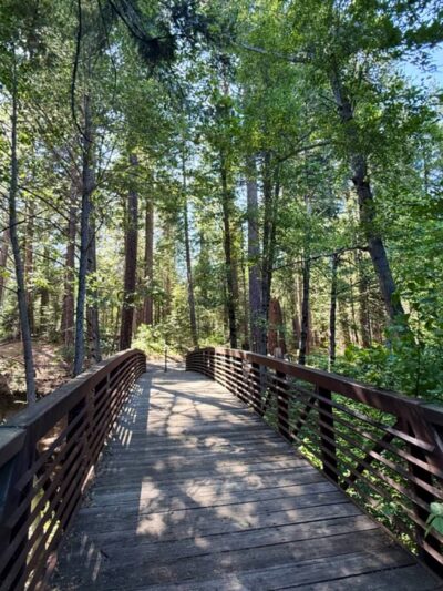 Sierra Discovery Trail - Nevada City, CA