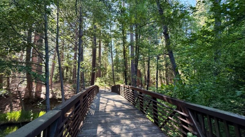 Sierra Discovery Trail - Nevada City, CA