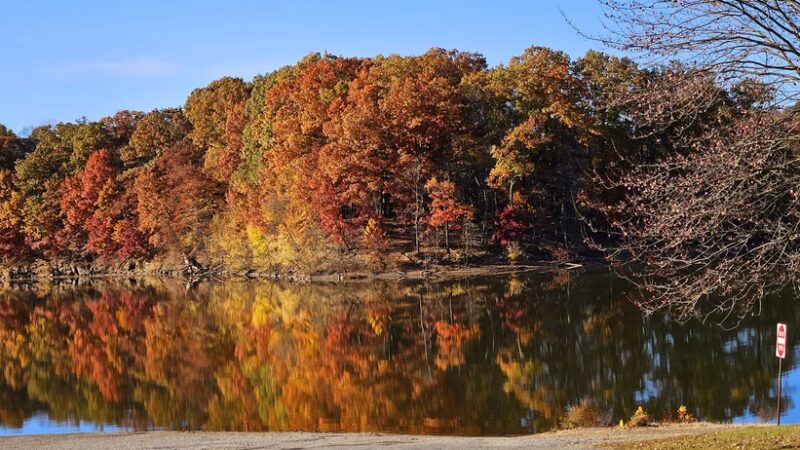 Bush Recreation Area - New Alexandria, PA
