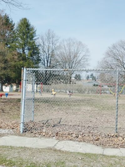 New Alexandria Park - New Alexandria, PA