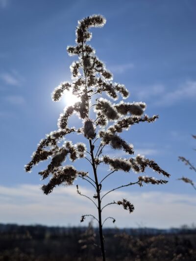Seanor Farm Park - New Alexandria, PA
