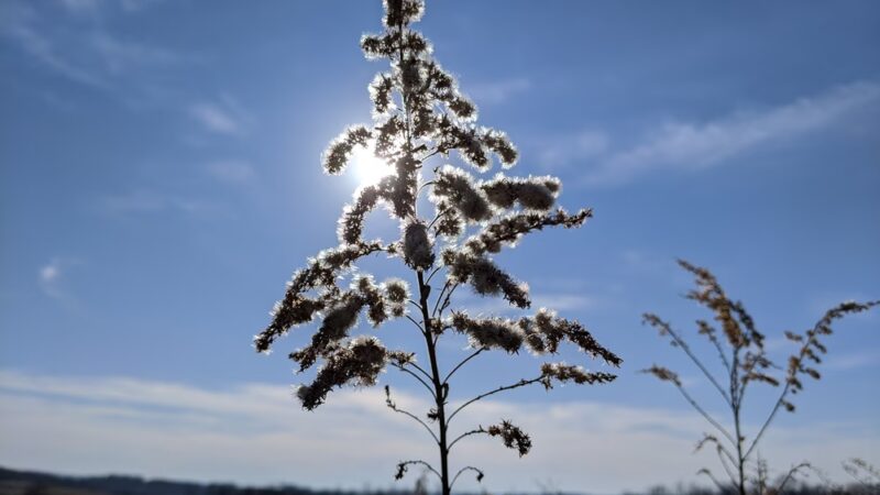 Seanor Farm Park - New Alexandria, PA