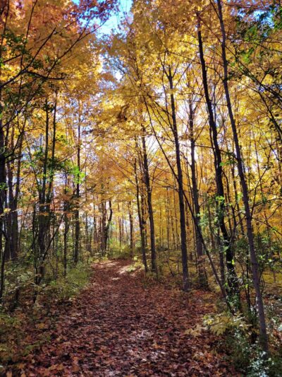Calhoun Park - New Berlin, WI
