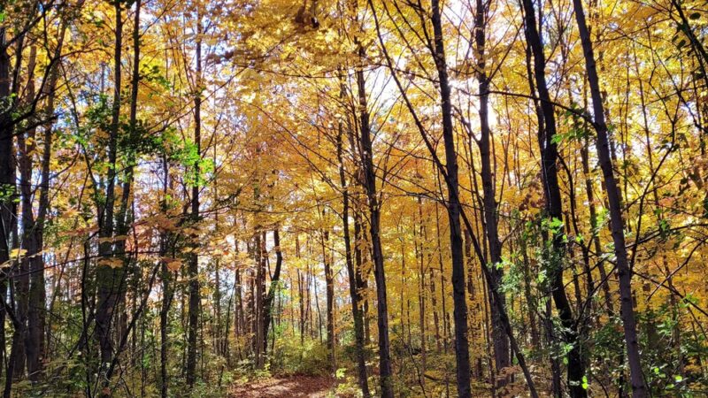 Calhoun Park - New Berlin, WI