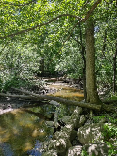 Stigler Nature Preserve - New Berlin, WI