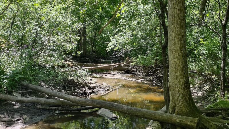 Stigler Nature Preserve - New Berlin, WI
