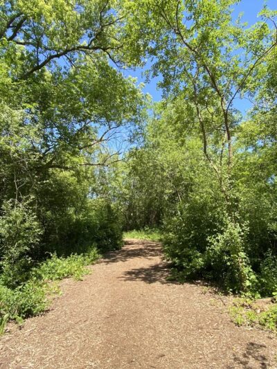 Stigler Nature Preserve - New Berlin, WI