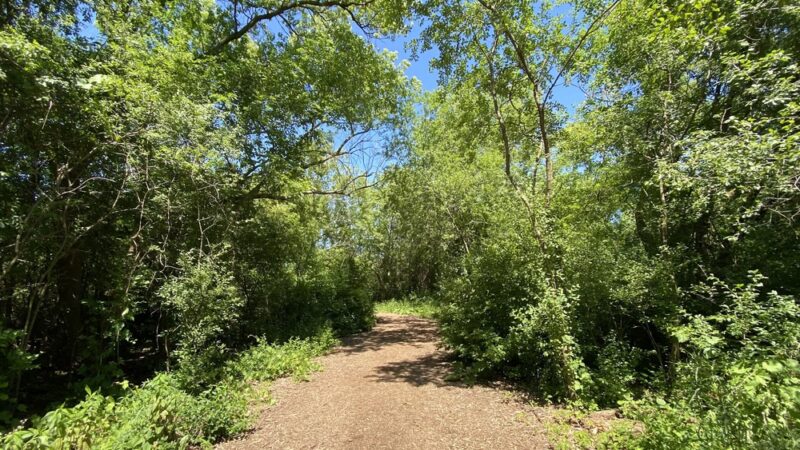 Stigler Nature Preserve - New Berlin, WI