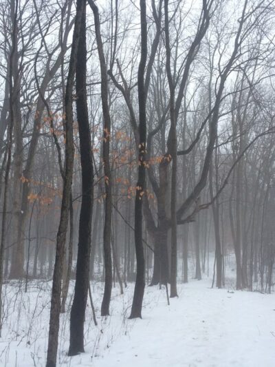 Trail To High Grove Park - New Berlin, WI