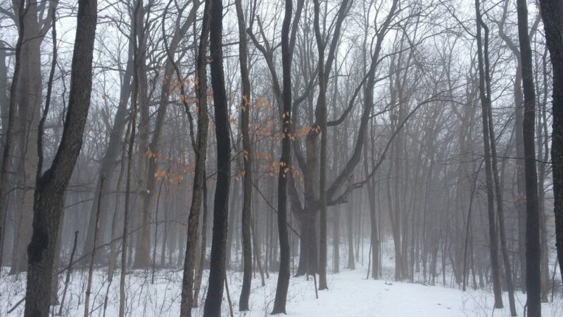 Trail To High Grove Park - New Berlin, WI