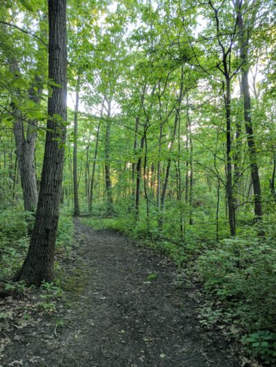 Trail To High Grove Park - New Berlin, WI