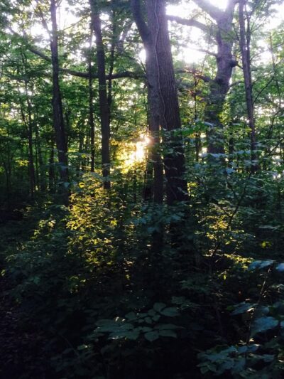 Trail To High Grove Park - New Berlin, WI