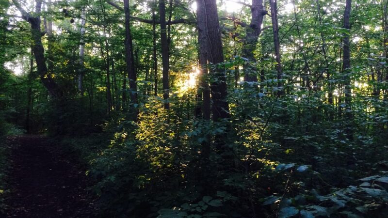 Trail To High Grove Park - New Berlin, WI