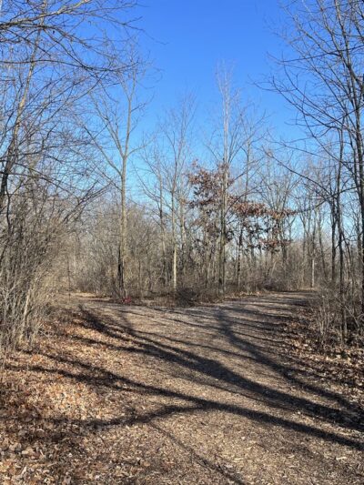Trail To High Grove Park - New Berlin, WI