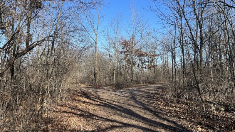 Trail To High Grove Park - New Berlin, WI