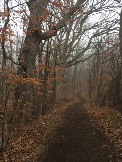 Trail To High Grove Park - New Berlin, WI