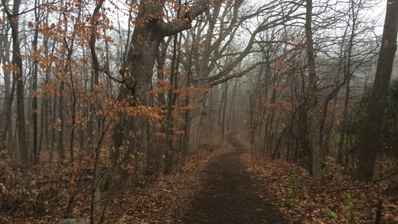Trail To High Grove Park - New Berlin, WI